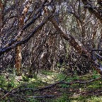 Quito 201218.jpg