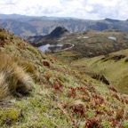Quito 201226.jpg