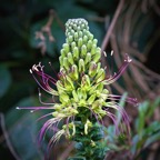 Quito 201235.jpg