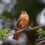 Quito 201236.jpg