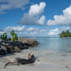 Gan_Fuvahmulah_ - 29.jpeg