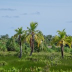 Gan_Fuvahmulah_ - 93.jpeg