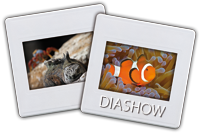 Diashow