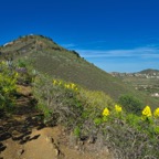 GranCanaria - 62.jpeg