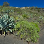 GranCanaria - 63.jpeg