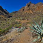 GranCanaria - 92.jpeg
