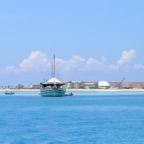 Hammerhead 34.jpg