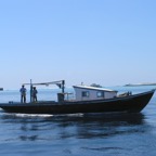 Hammerhead 35.jpg