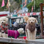 HongKong - 23.jpg