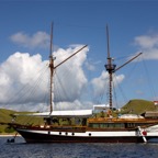 Komodo 2010_2012011.jpg