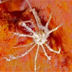 Komodo 2010_2012013.jpg