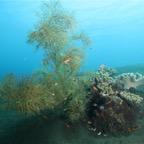 Komodo 2010_2012022.jpg