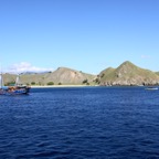 Komodo 2010_2012026.jpg