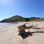 Komodo 2010_2012027.jpg