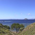 Komodo 2010_2012028.jpg