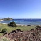 Komodo 2010_2012029.jpg