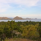 Komodo 2010_2012043.jpg