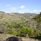 Komodo 2010_2012044.jpg