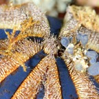 Komodo 2010_2012056.jpg