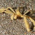 Komodo 2010_2012059.jpg