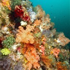 Komodo 2010_2012062.jpg