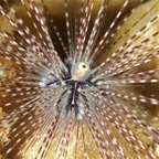 Komodo 2010_2012069.jpg