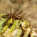 Komodo 2010_2012087.jpg