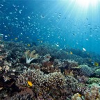 Komodo 2010_2012125.jpg