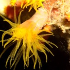 Komodo 2010_2012133.jpg