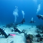 Komodo 2010_2012136.jpg