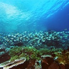 Komodo 2010_2012144.jpg