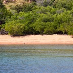 Komodo 2010_2012146.jpg