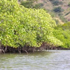 Komodo 2010_2012148.jpg