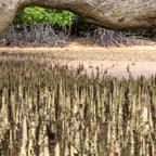 Komodo 2010_2012149.jpg