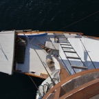 Komodo 2010_2012156.jpg