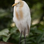 Kuala Lumpur 201006.jpg
