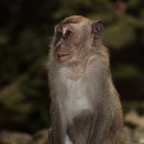 Kuala Lumpur 201018.jpg