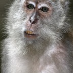 Kuala Lumpur 201019.jpg