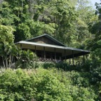 Riffhaie_Lembeh22.jpg