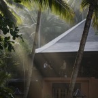 Riffhaie_Lembeh24.jpg