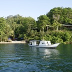 Riffhaie_Lembeh47.jpg