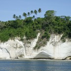 Riffhaie_Lembeh63.jpg