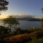 Riffhaie_Lembeh70.jpg