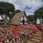 Madeira_ 028.jpeg