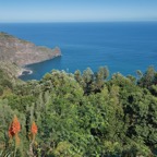 Madeira_ 034.jpeg