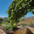 Madeira_ 085.jpeg