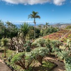 Madeira_ 099.jpeg