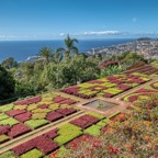 Madeira_ 100.jpeg