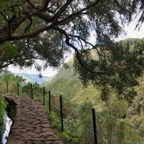 Madeira_ 115.jpeg
