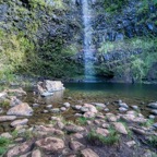 Madeira_ 118.jpeg